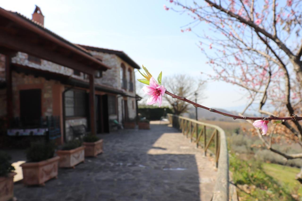 B&B Casale Roshlee Gualdo Cattaneo Ngoại thất bức ảnh